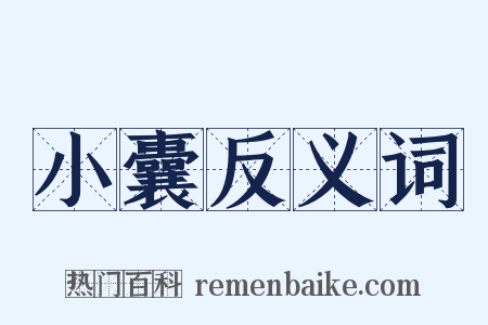 小囊反义词是什么意思的图片
